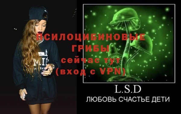 бошки Елизово