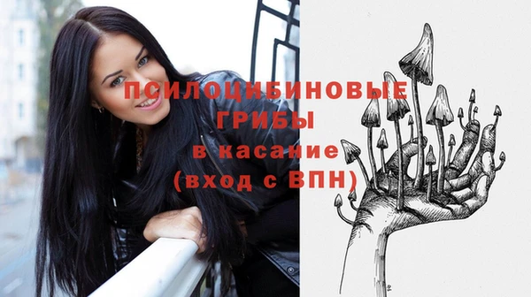 бошки Елизово