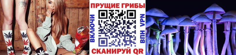 Галлюциногенные грибы MAGIC MUSHROOMS  mega ССЫЛКА  Вилюйск 